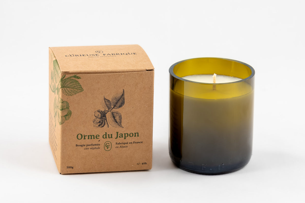 Bougie parfumée — Orme du Japon