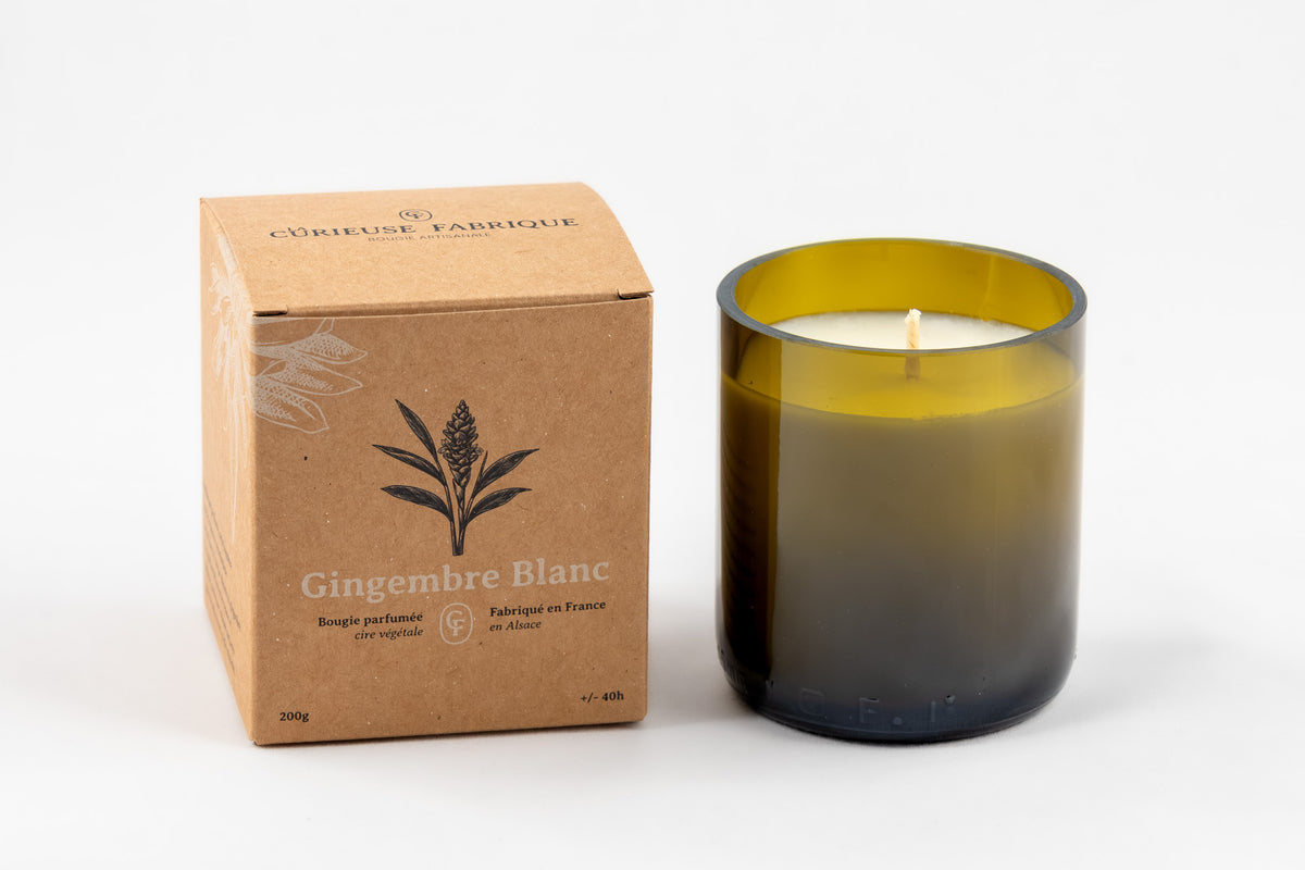 Bougie parfumée — Gingembre blanc