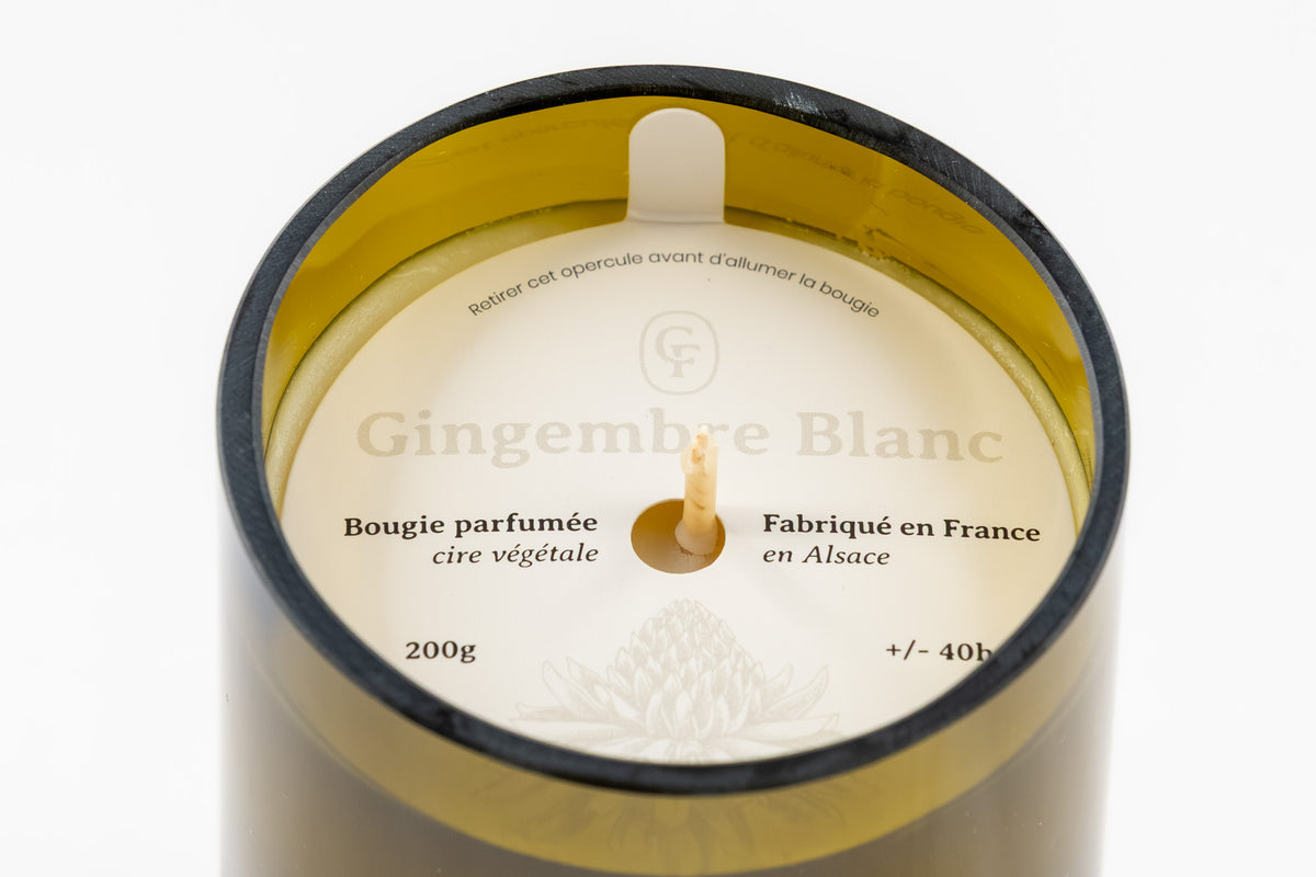 Bougie parfumée — Gingembre blanc